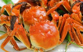 什么季節是吃螃蟹的最佳季
